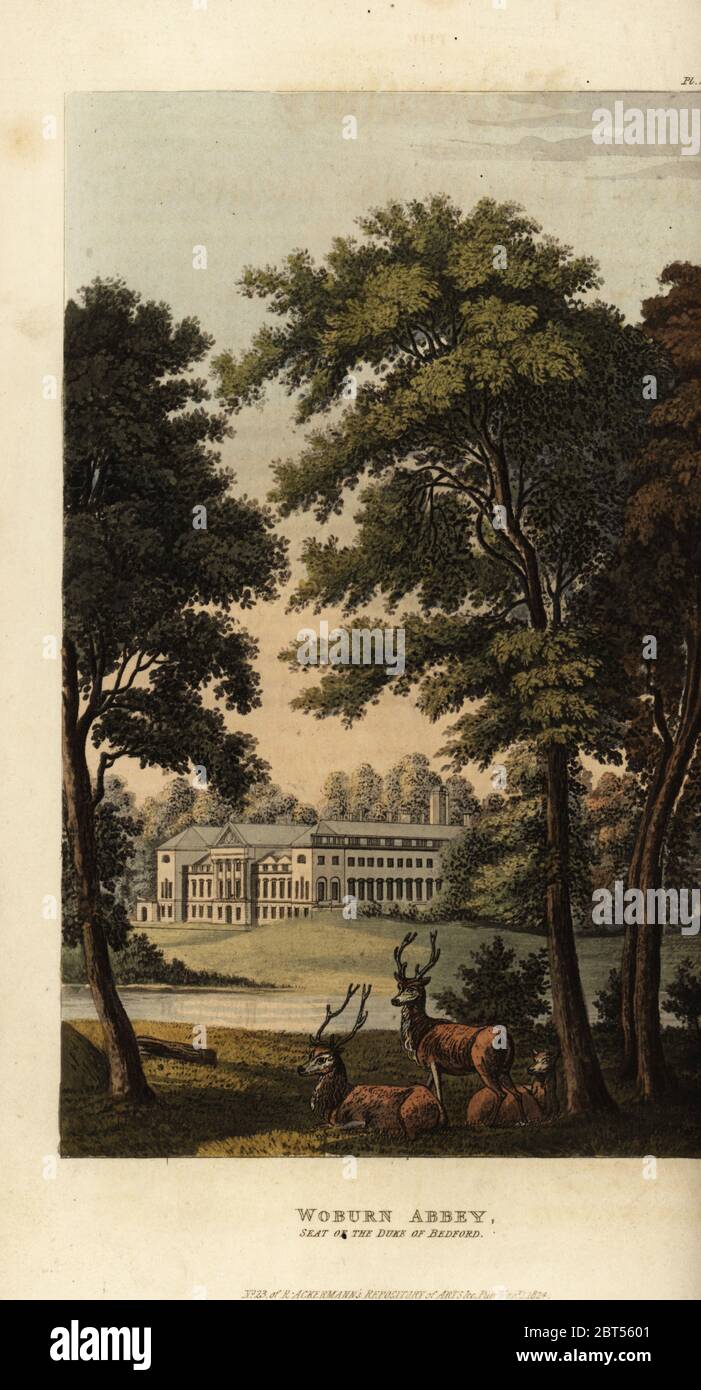 Woburn Abbey, seat of the Duke of Bedford. Landscaped gardens and deer park by Humphry Repton. Handcoloured copperplate engraving from Rudolph Ackermanns Repository of Arts, London, 1823. Stock Photo
