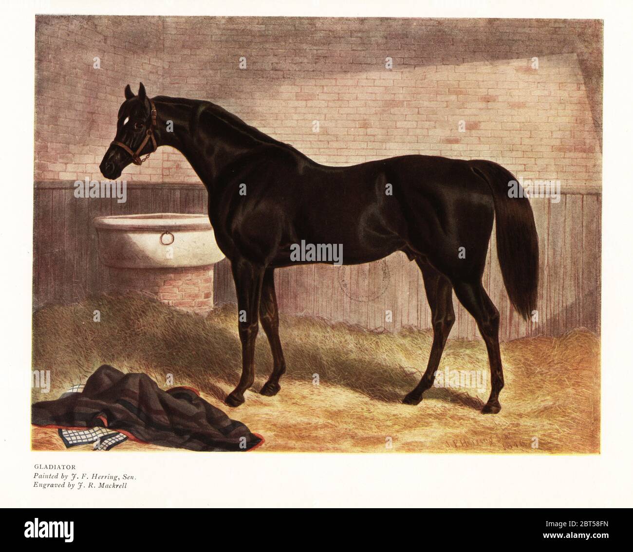 19th Century Horse Stables High Resolution Stock Photography And Images Alamy