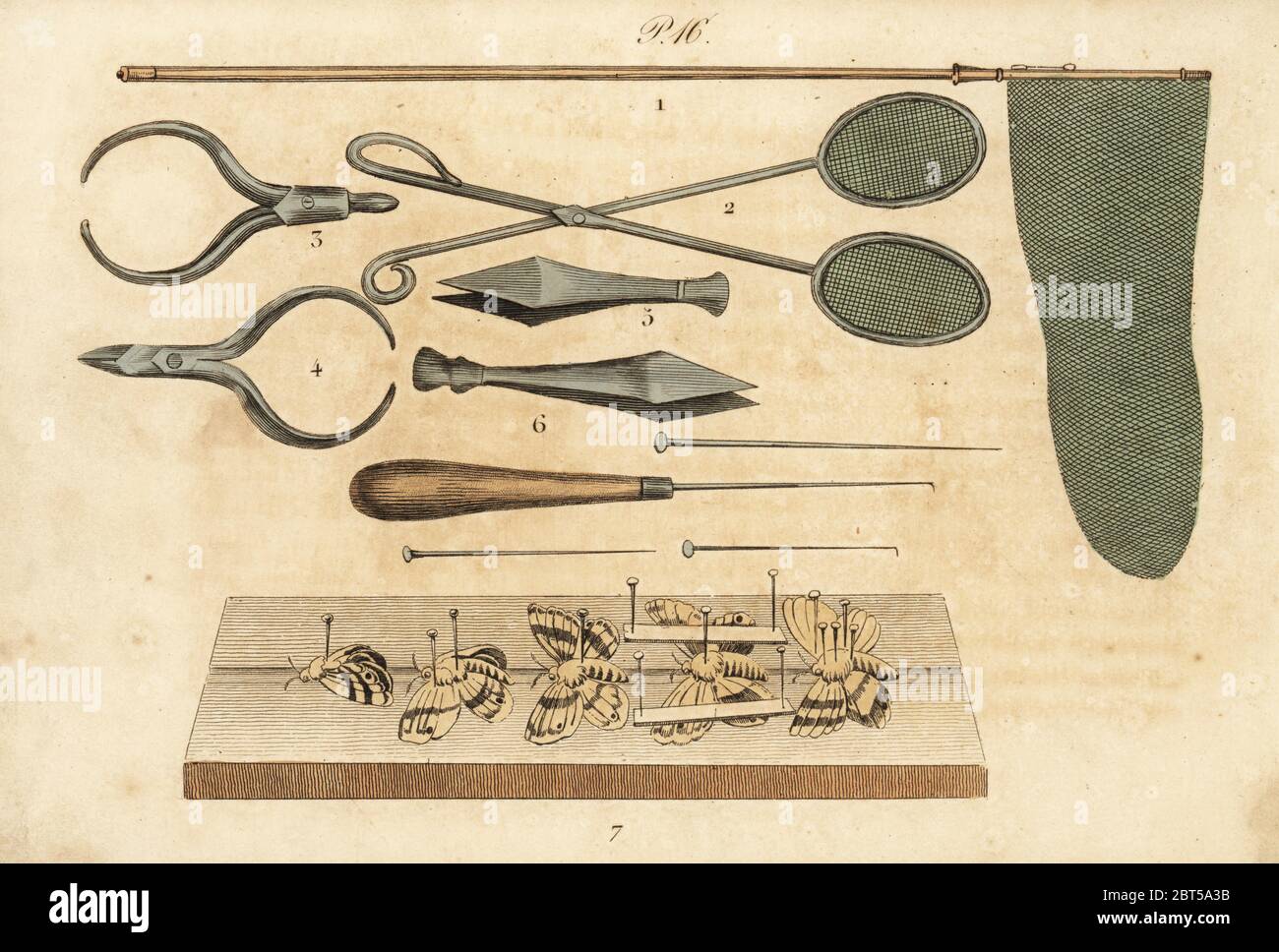 Butterfly collector tools, 19th century. Butterfly net, raquet nets, pincers, pins, etc. Handcoloured lithograph from Musee du Naturaliste dedie a la Jeunesse, Histoire des Papillons, Hippolyte and Polydor Pauquet, Paris, 1833. Stock Photo