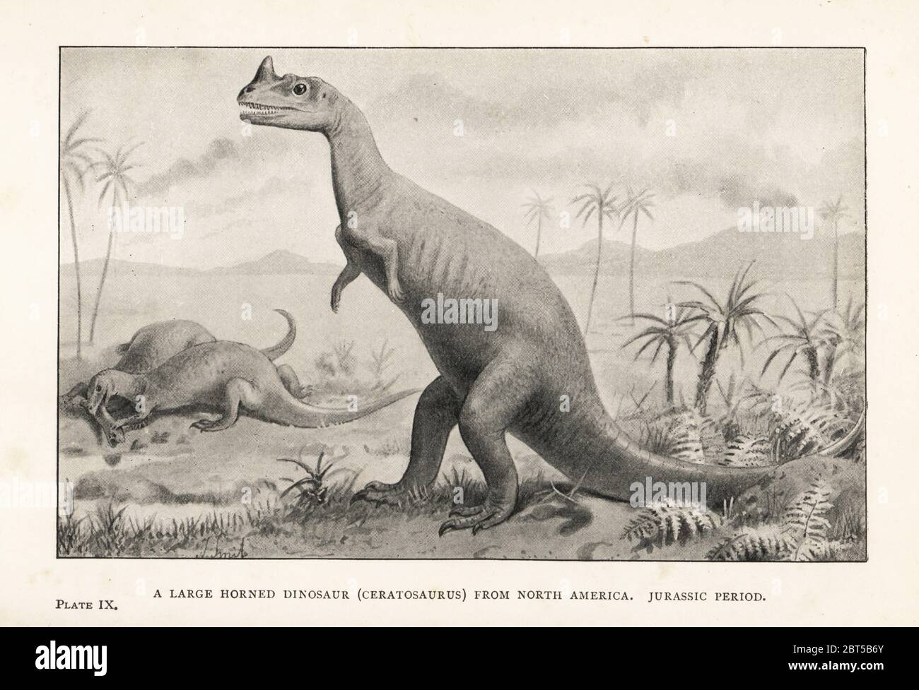 A large horned dinosaur, Ceratosaurus nasicornis, North America, Jurassic Period. Print after an illustration by Joseph Smit from Henry Neville Hutchinsons Creatures of Other Days, Popular Studies in Palaeontology, Chapman and Hall, London, 1896. Stock Photo