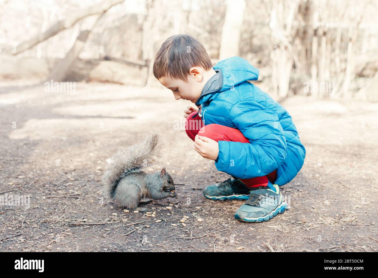 Cute Caucasian boy feeding grey squirrel in park. Adorable little kid giving food nuts to wild animal in forest. Child learning studying wild nature a Stock Photo