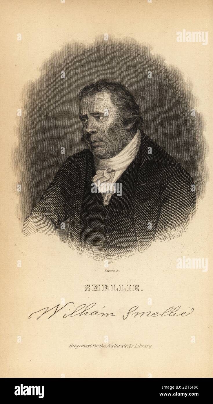 William Smellie, master printer, translator, natural historian, antiquarian and encyclopedist, 1740-1795. Steel engraving by Lizars after a portrait by Henry Bryan Hall from Sir William Jardine's The Naturalist's Library, W.H. Lizars, Edinburgh, 1843. Stock Photo