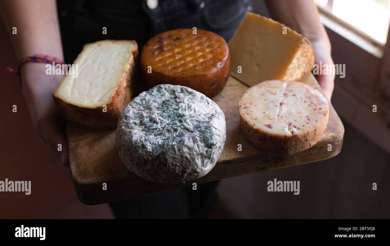 Wooden board with a wide variety of cheeses of different types, held by one person. Blue cheese, smoked cheese... Stock Photo