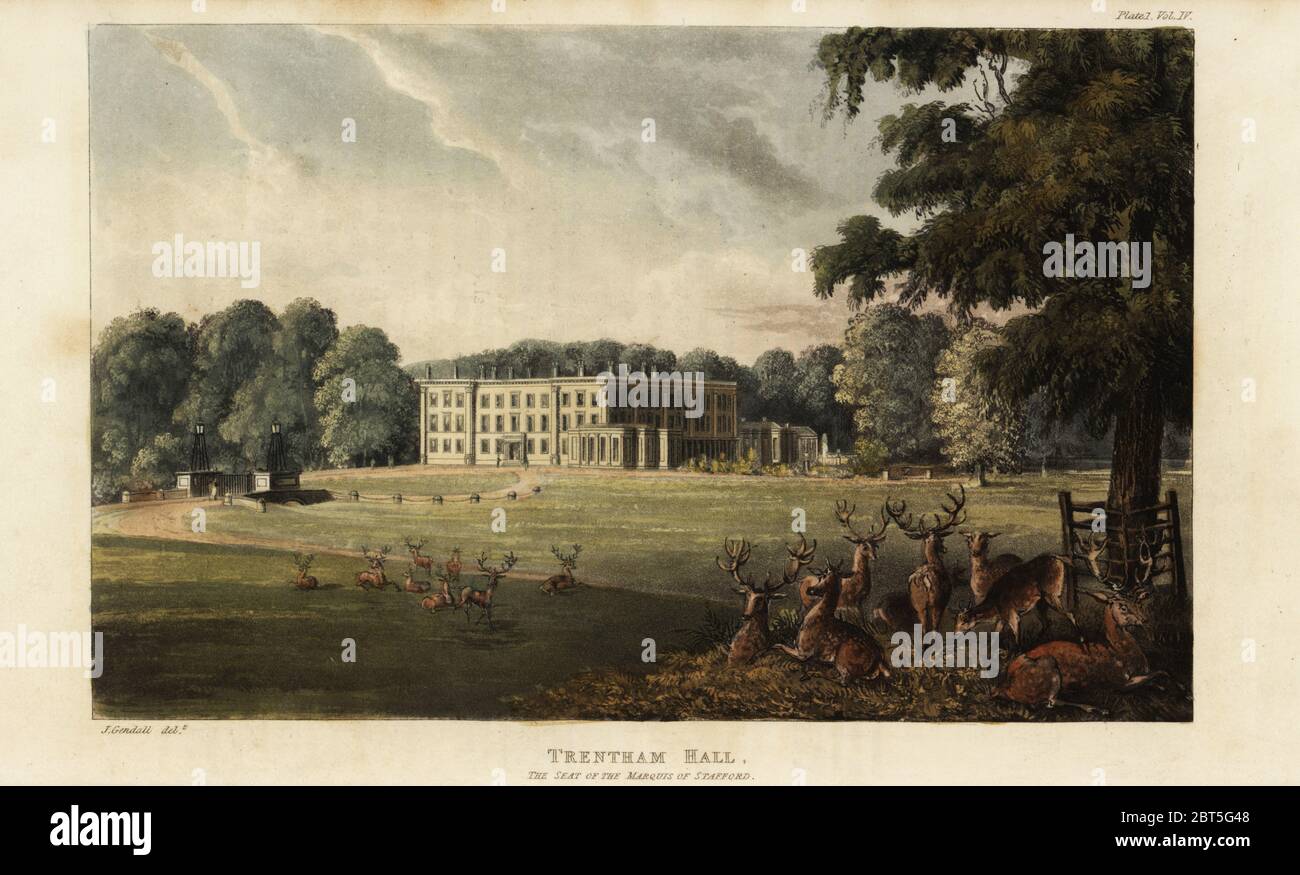 Herd of deer in front of Trentham Hall, seat of Granville Leveson-Gower, Marquis of Stafford. House and gardens designed by architect Henry Holland. Handcoloured copperplate engraving after an illustration by John Gendall from Rudolph Ackermanns Repository of Arts, London, 1823. Stock Photo