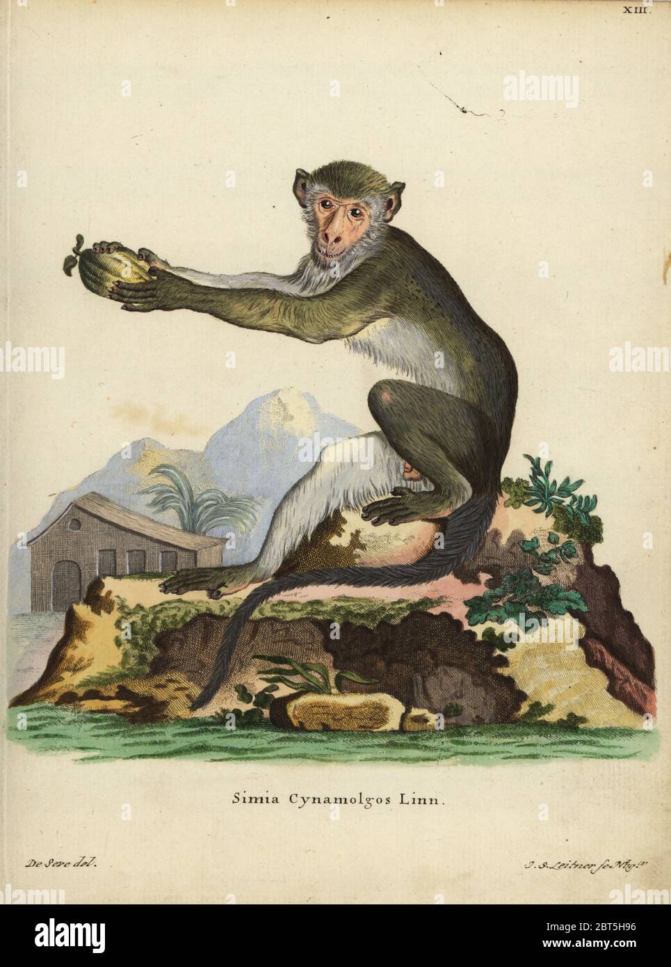 Christian leitner hires stock photography and images Alamy