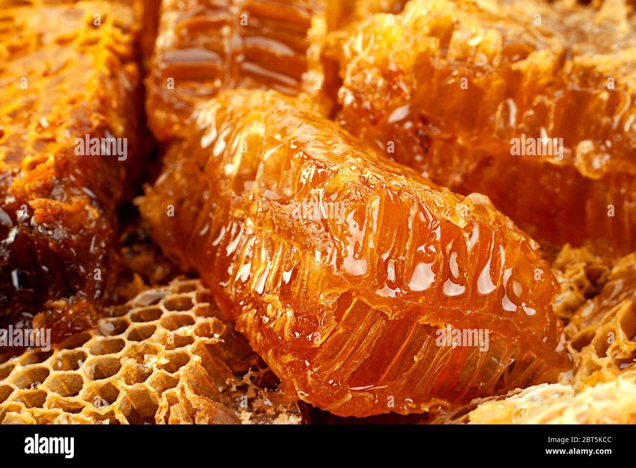 Honeycomb slice closeup texture detail horizontal background Stock Photo