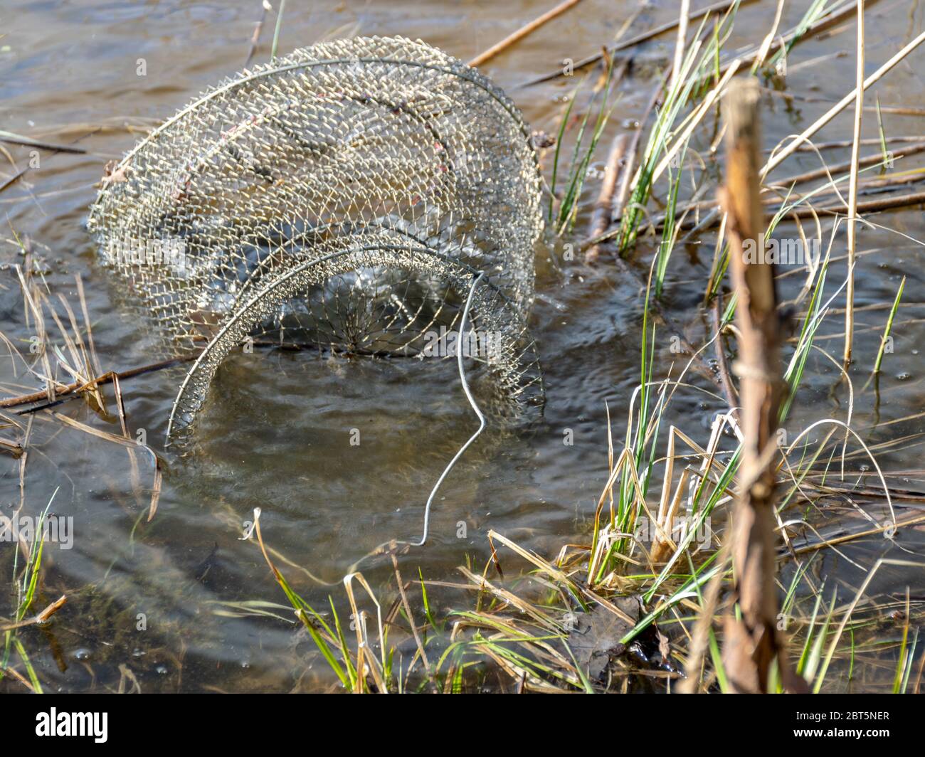 picture with fish net in the water, fishing as a leisure concept, water ...