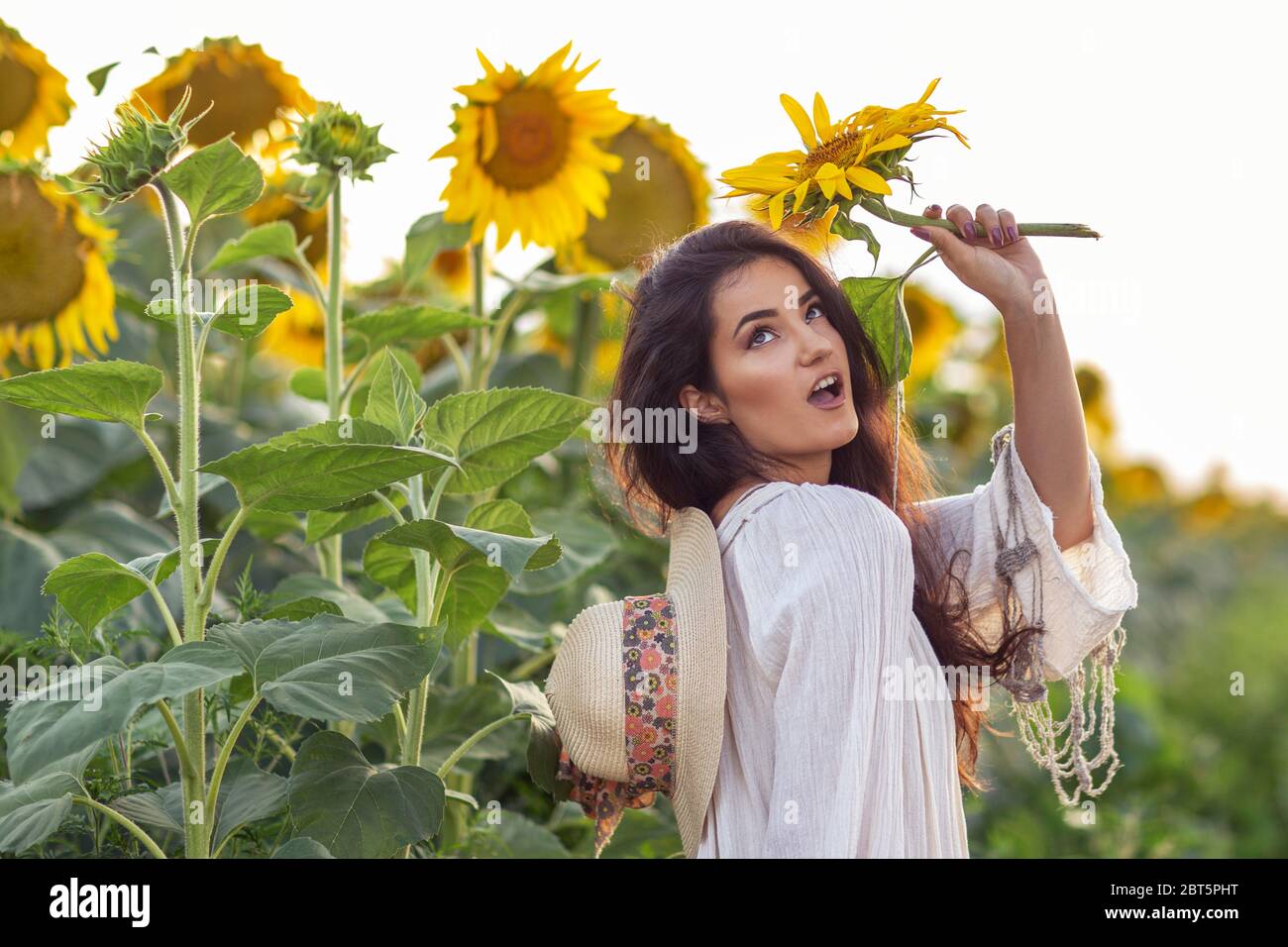With sunflowers in the field girl posing Stock Photo - Alamy