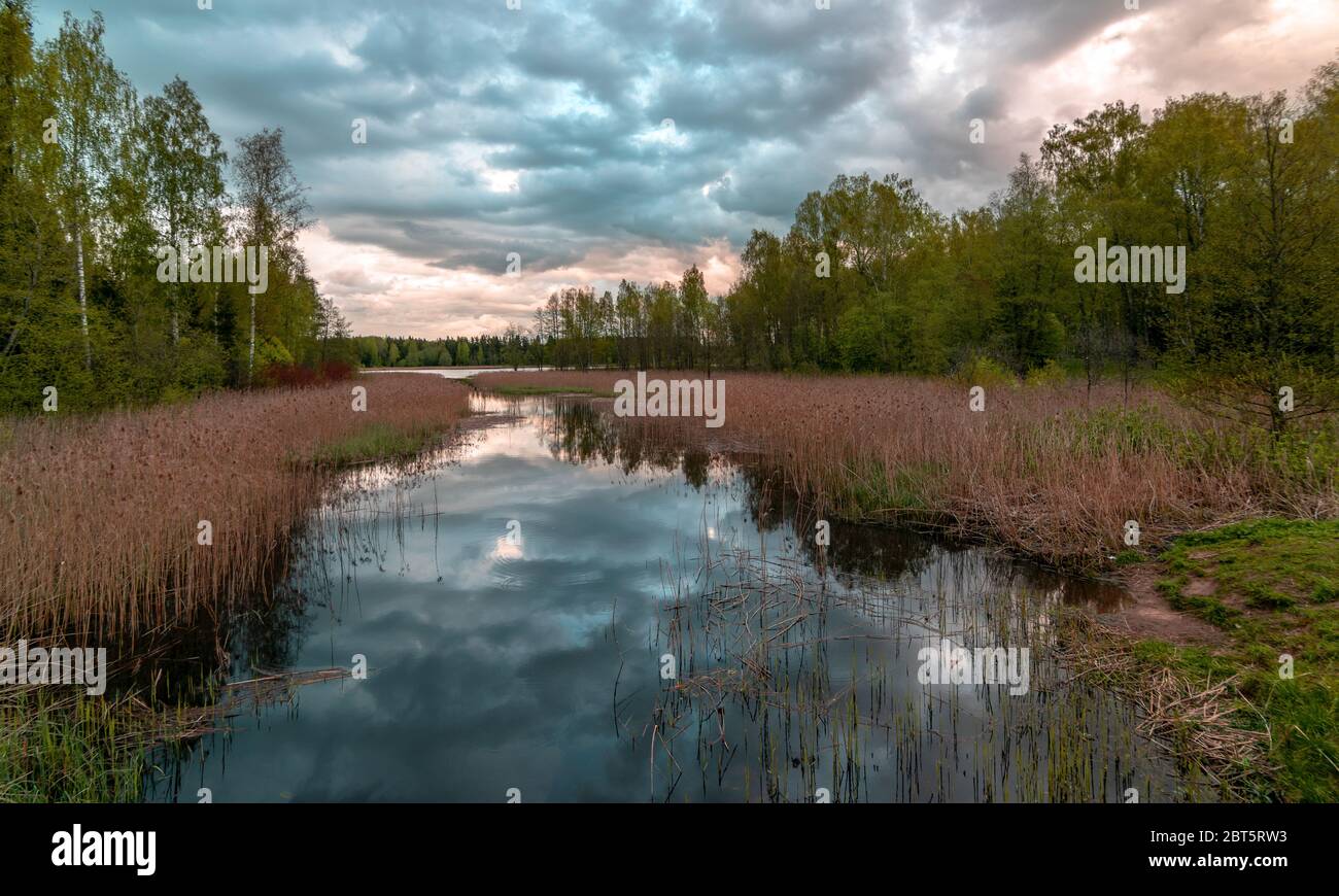 colorful spring landscape with beautiful sky, clouds and tree ...