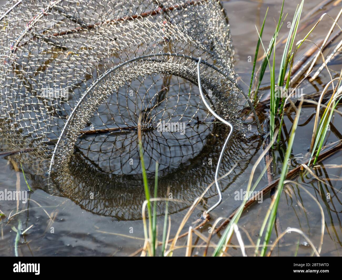 picture with fish net in the water, fishing as a leisure concept, water