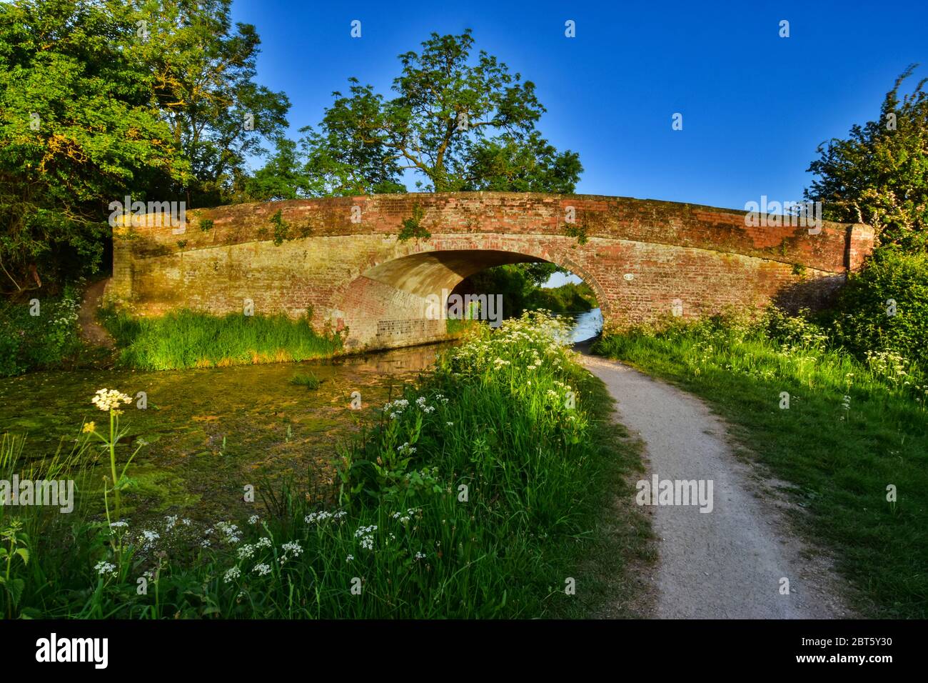 Grantham Canal, Vale of Belvoir Stock Photo