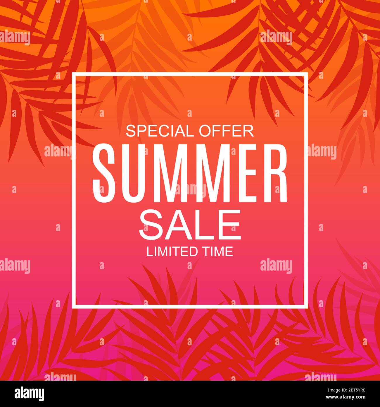 Abstract Summer Sale Background with Palm Leaves Vector Illustration ...