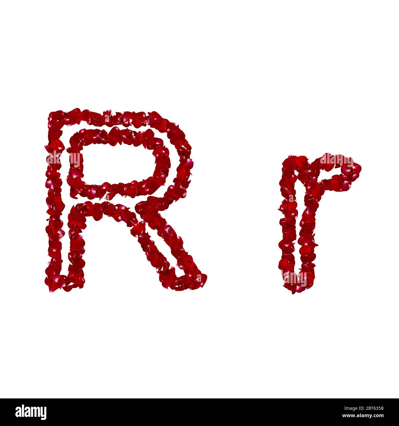 Red Rose R R The letter