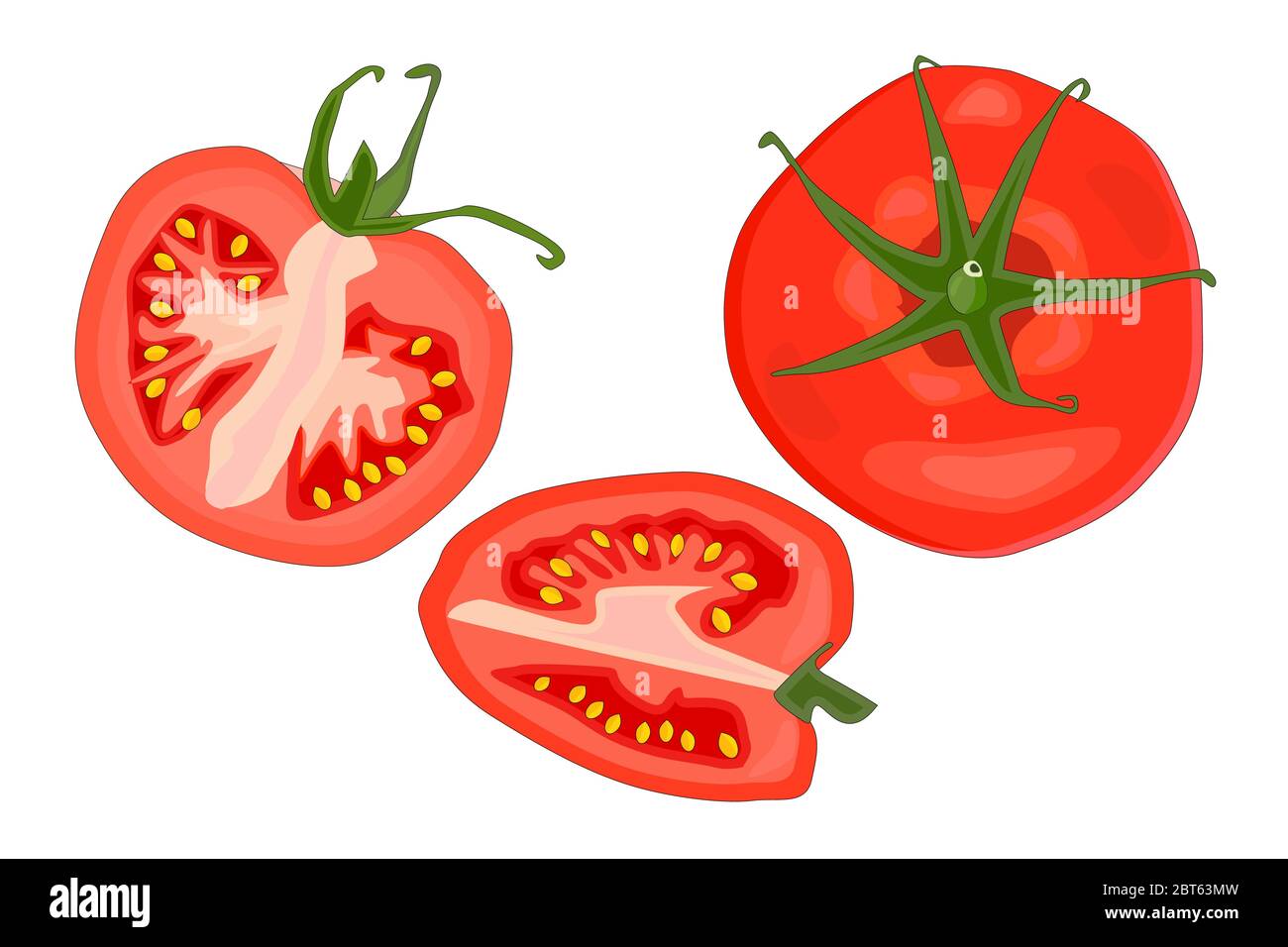 Tomato slice set isolated on white background. Vegetable, vegetarian, vegan healthy food. Whole, sliced, quarter, half of a tomato fruit. Stock vector Stock Vector