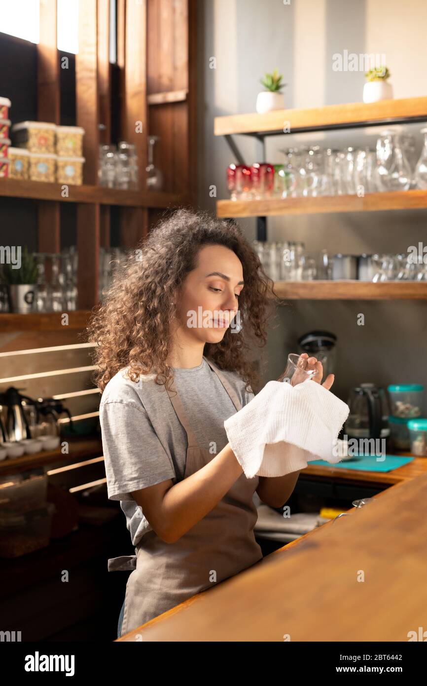 Pretty young waitress in workwear cleaning glass with white cotton napkin or towel while standing by bar counter in restaurant or cafe Stock Photo