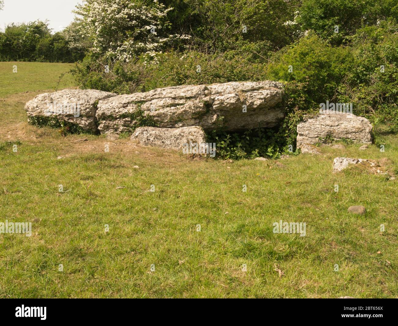 Coed-y-Glyn Burial Chamber Neolithic megalithic monument. remains of the burial chamber at the edge of a limestone terrace Benllech Isle of Anglesey Stock Photo