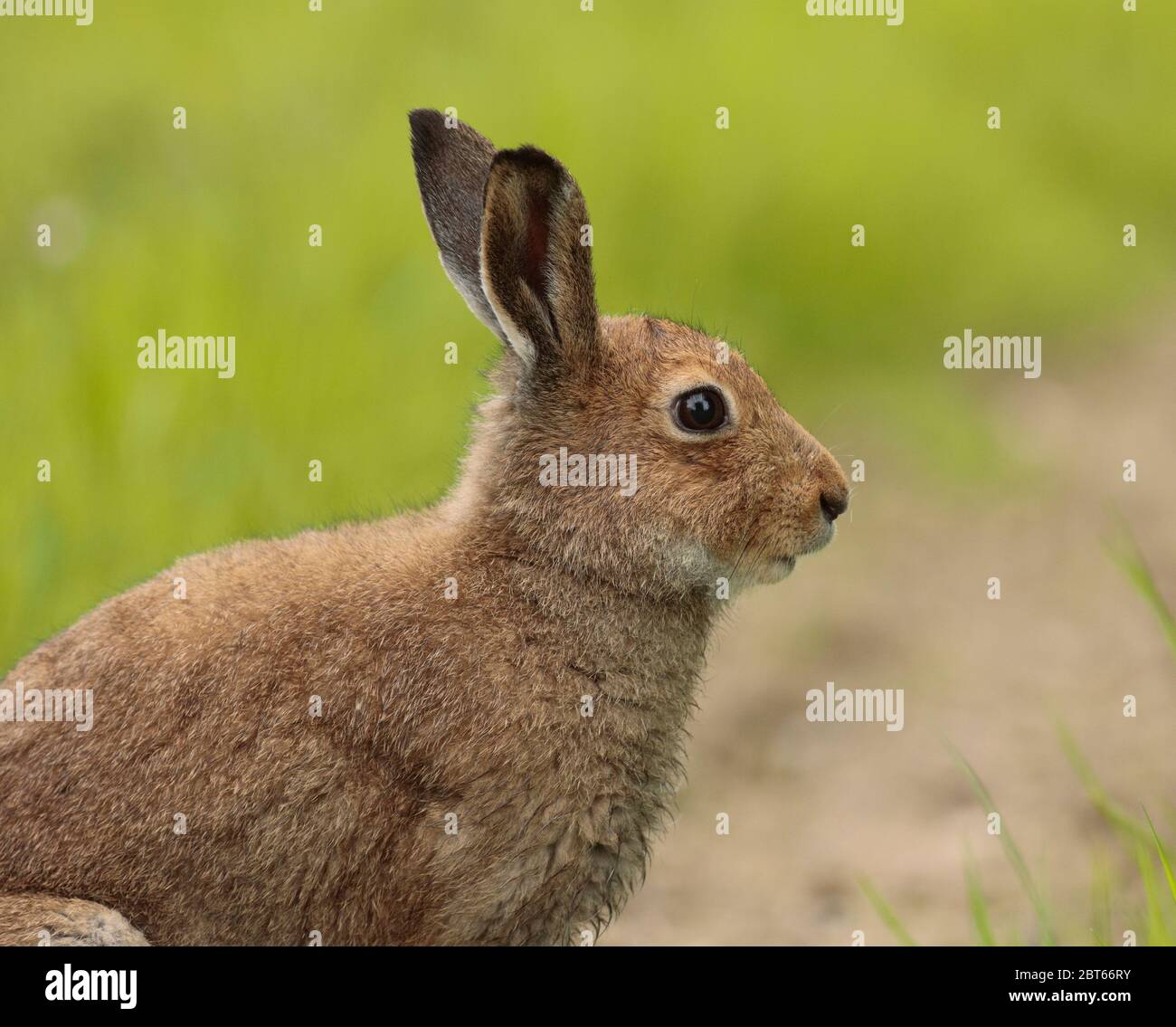 interesting ?の英語 visual data 6