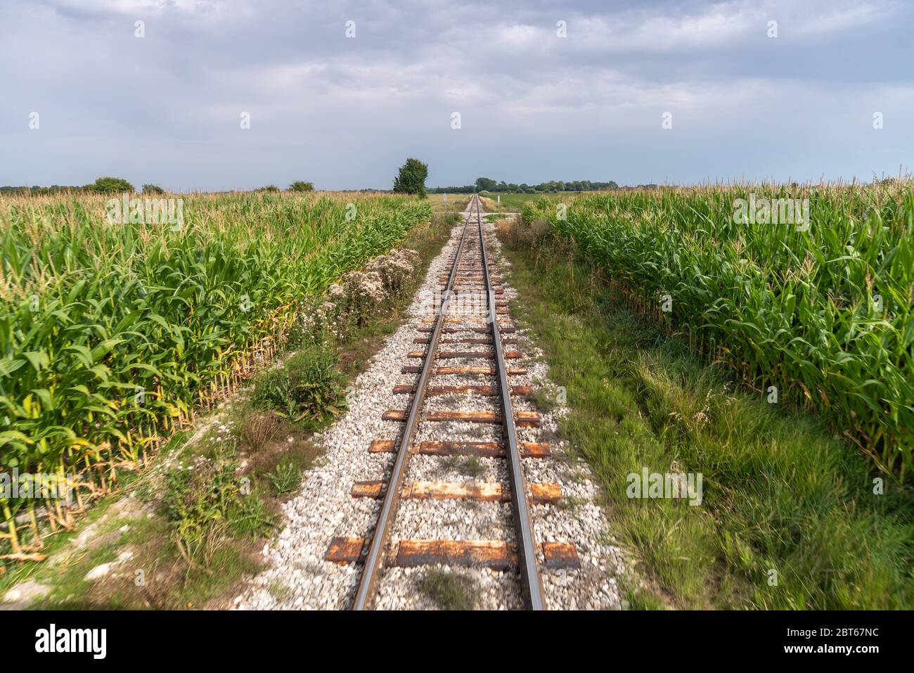 The steam train that runs between Le Crotoy and Saint Valery sur Somme in Picardie Stock Photo