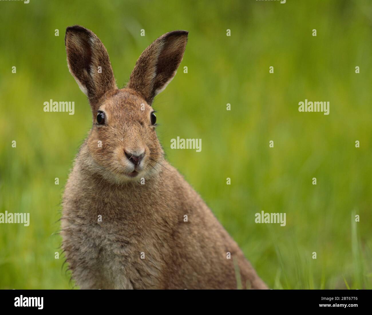 interesting ?の英語 visual data 8