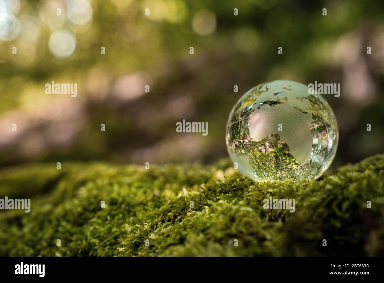 Environment conservation concept. Close up of glass globe in the forest with copy space Stock Photo