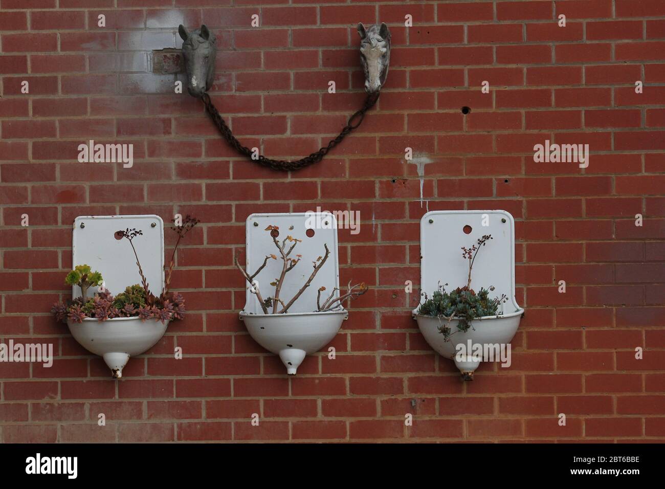 Three decorative water trough or urinals with plants at Castlemaine, Australia. Stock Photo