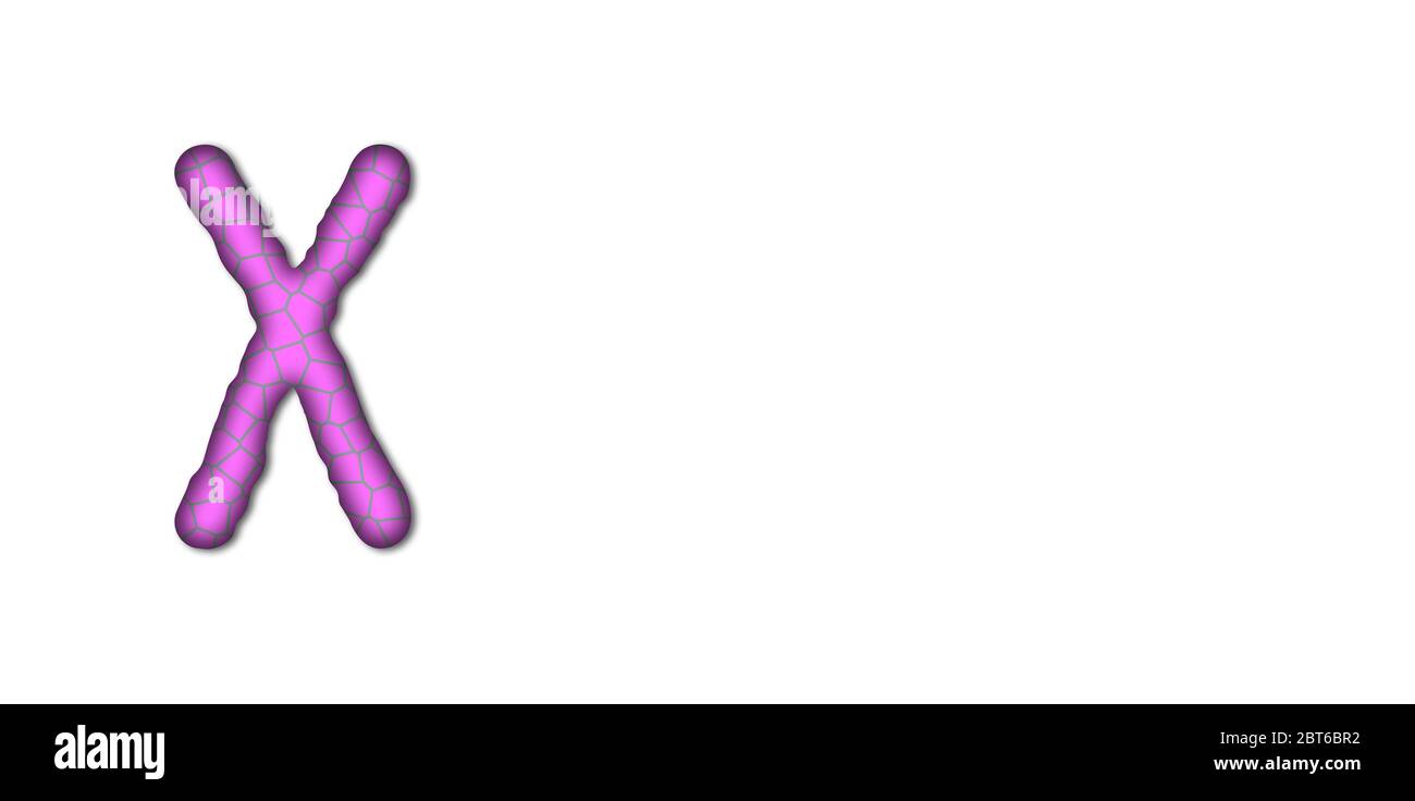 Graphic design of women's chromosome with pink color Stock Photo