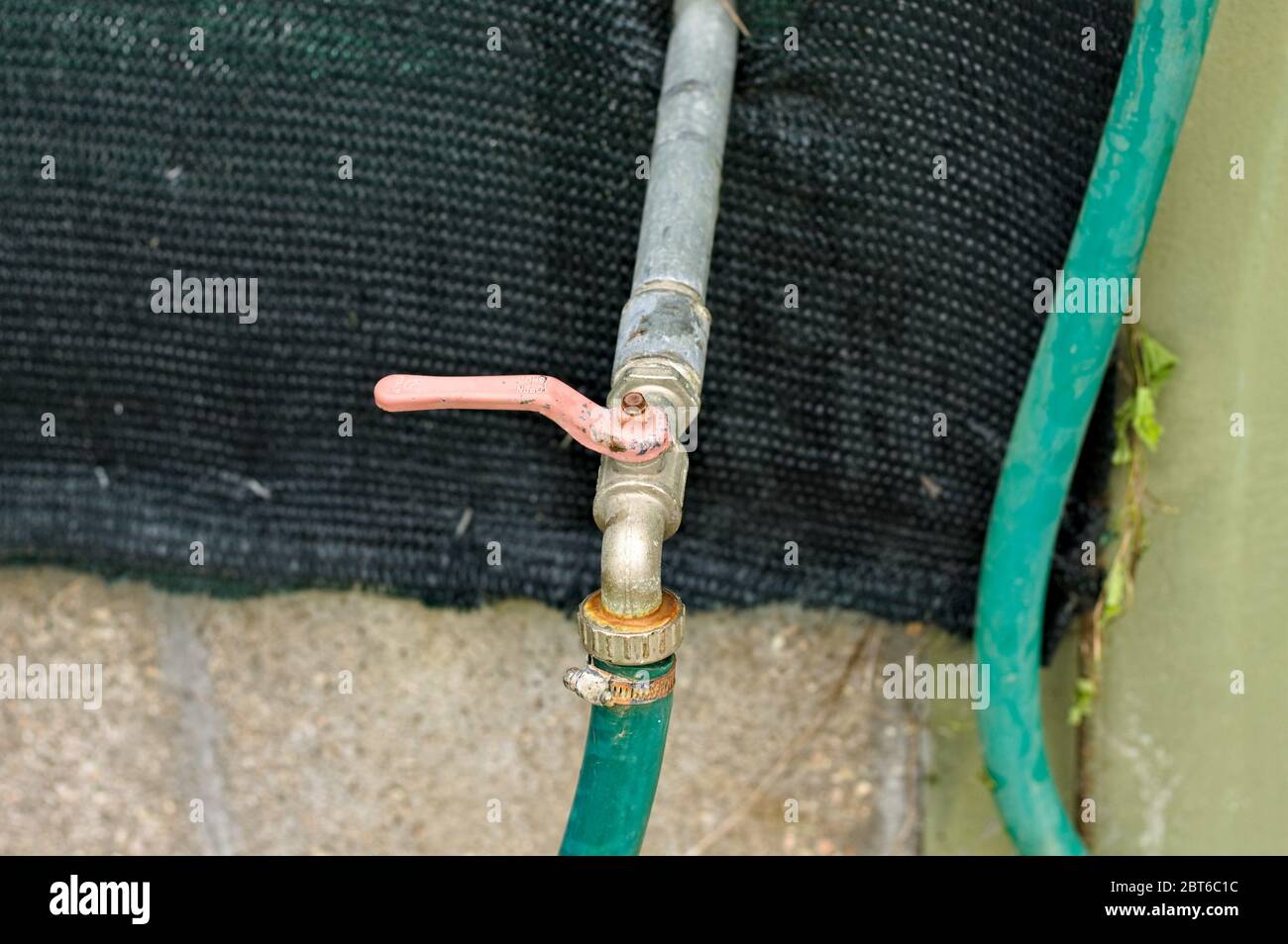 Red rusted handle of a garden tap with a green irrigator tube (Pesaro