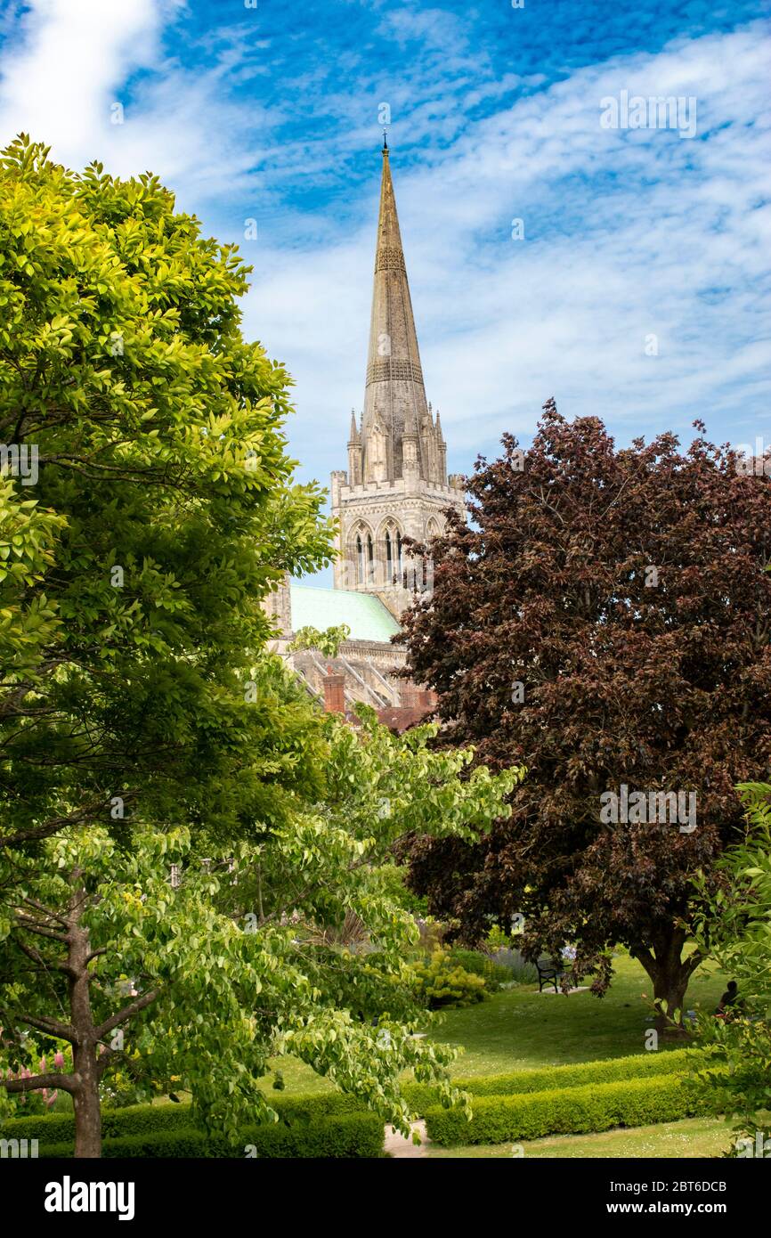 View of the historic Chichester Cathedral through the trees of the