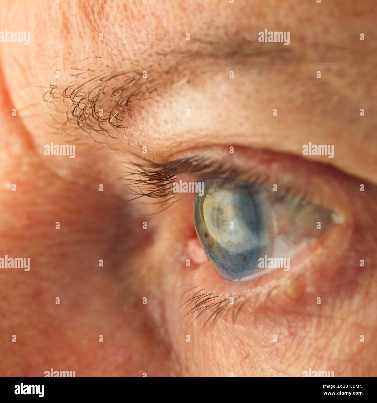 Closeup of womans eye wearing tinted contact lens, side view Stock Photo