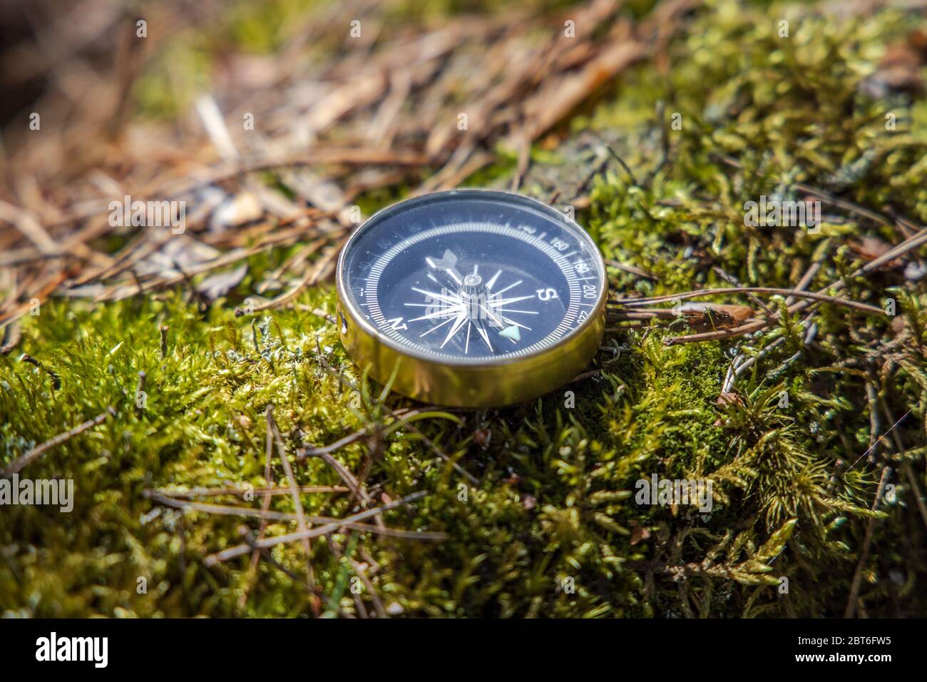 Traveller compass on the grass in the forest Stock Photo