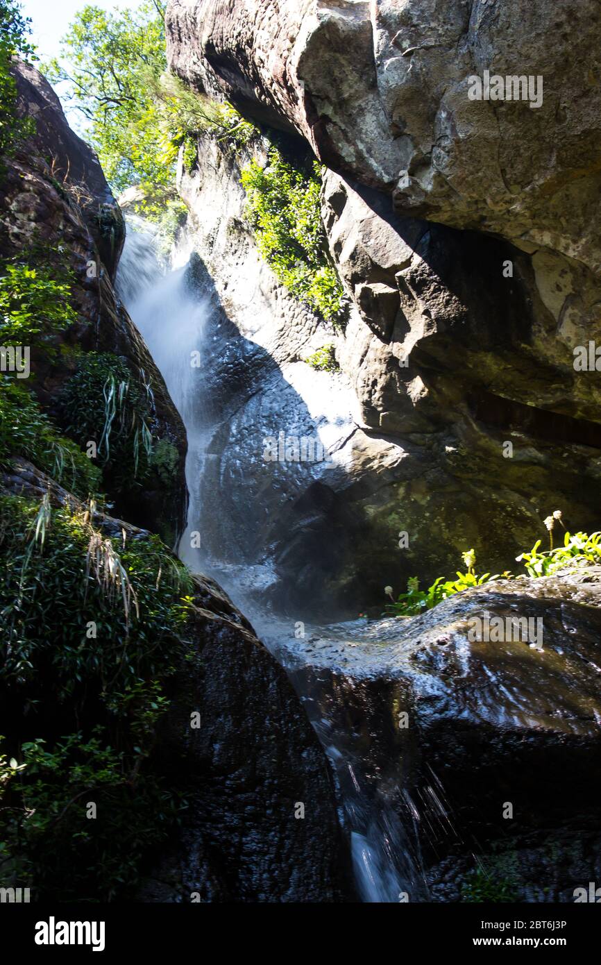 Crystal falls, a small waterfall in the Monks Cowl Nature Reserve, in ...