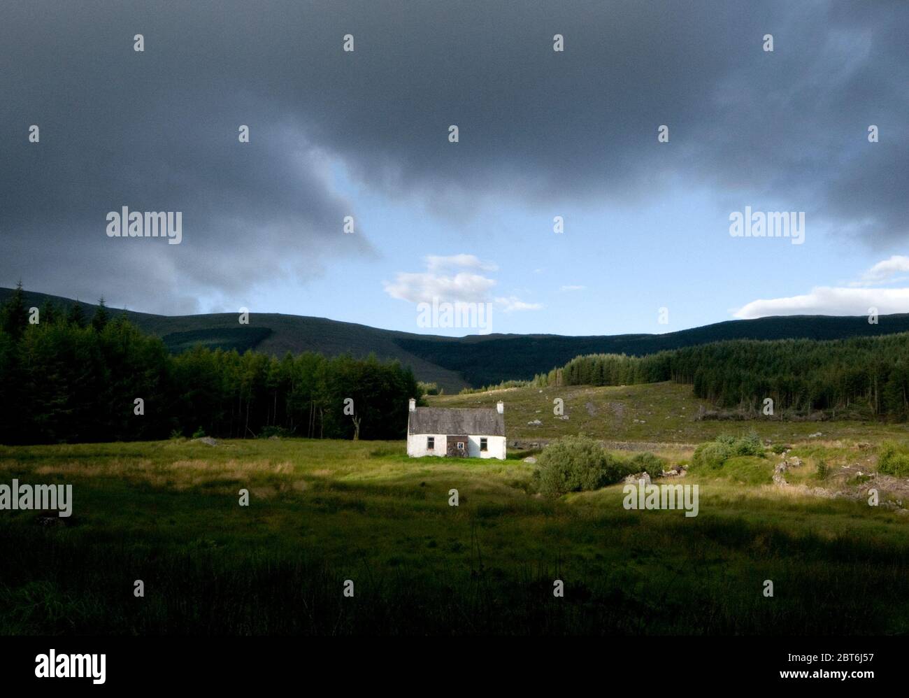 Back Hill O Bush, Galloway Forest Park Stock Photo Alamy