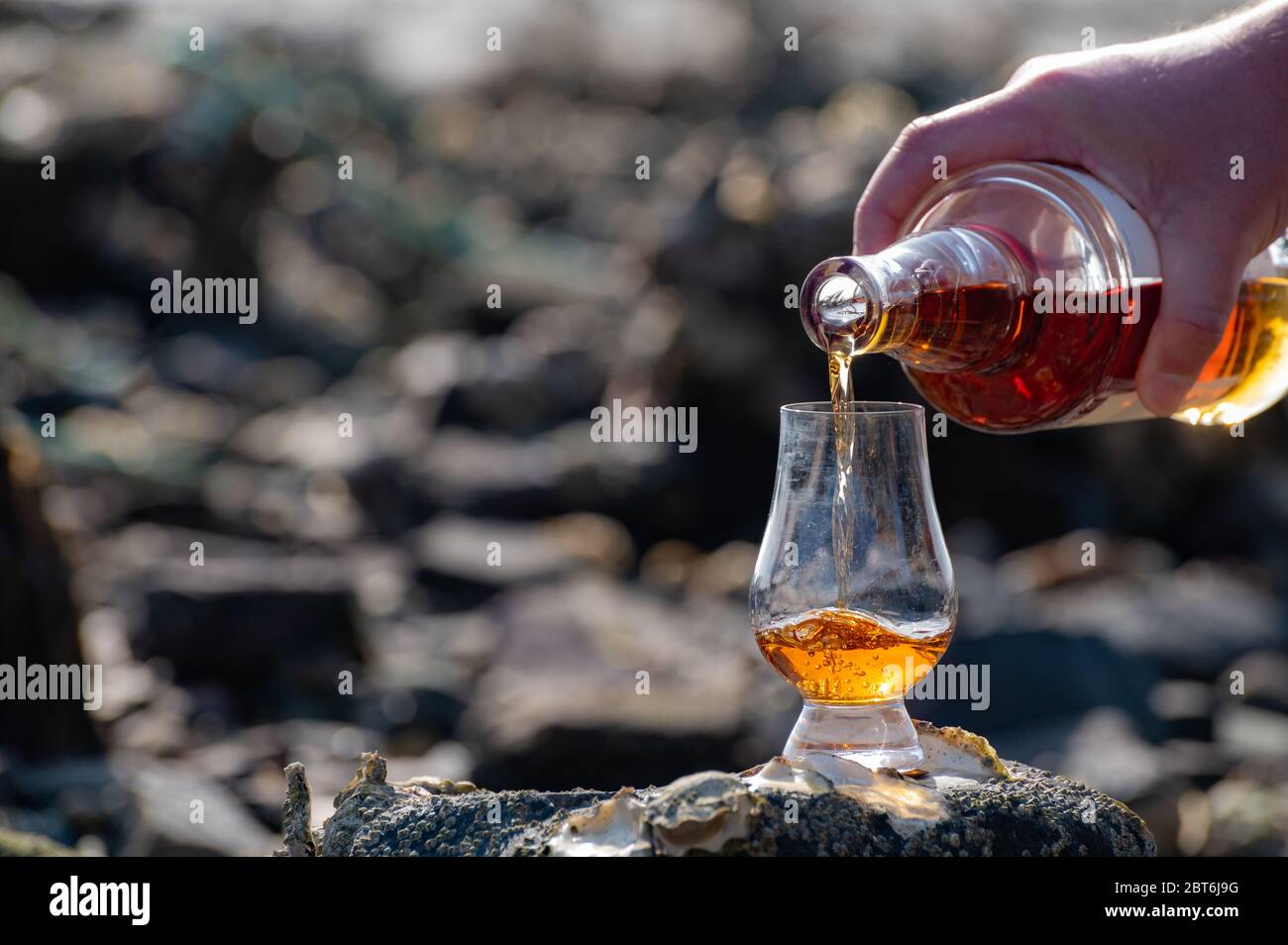 Pouring of Scotch whisky in tasting glass in sunny day Stock Photo