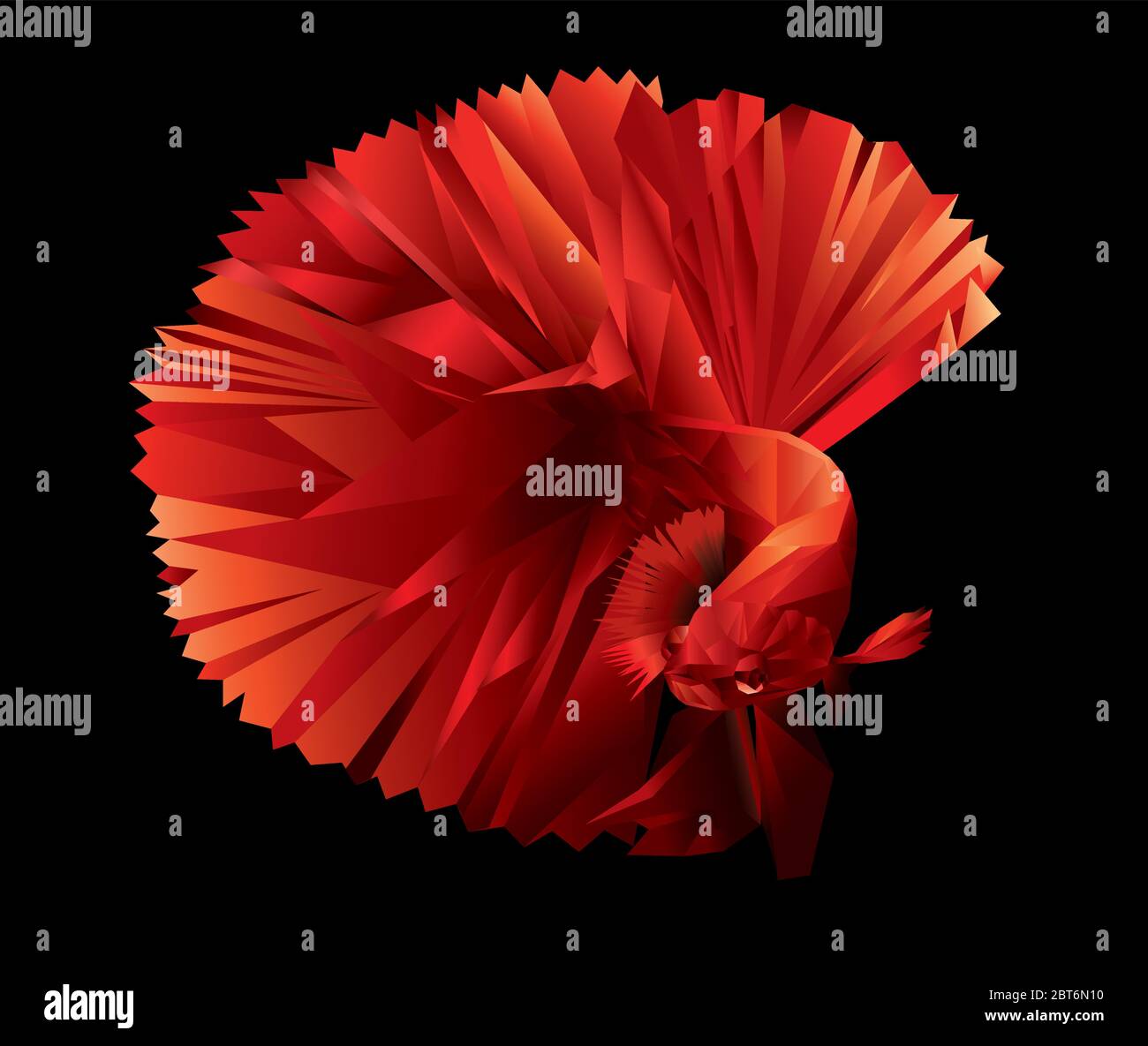 Beautiful cubism Siamese fighting fish isolated Stock Vector