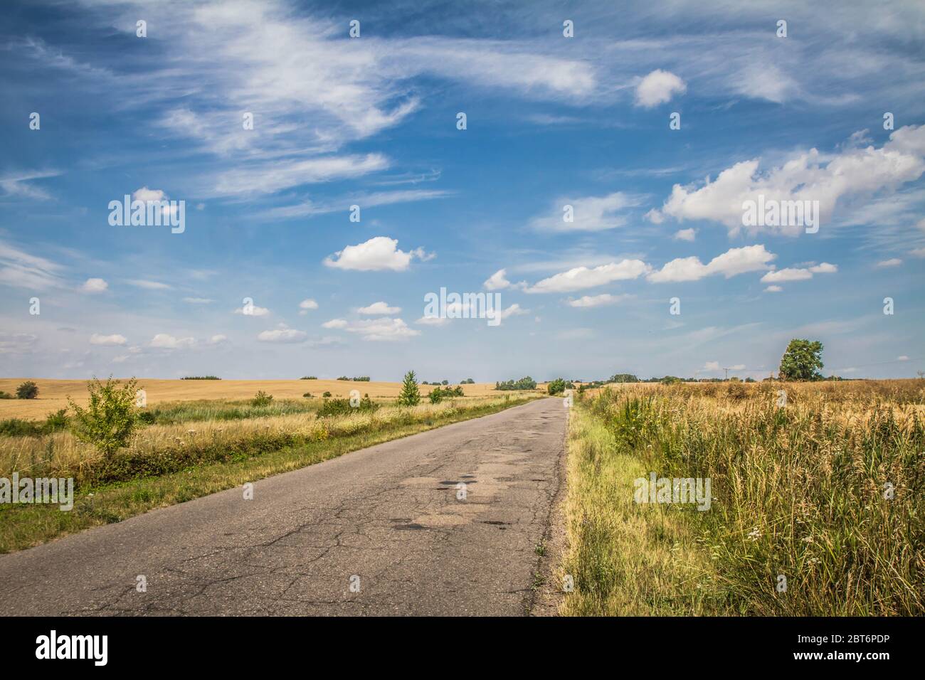 Road among fields in the summer Stock Photo - Alamy