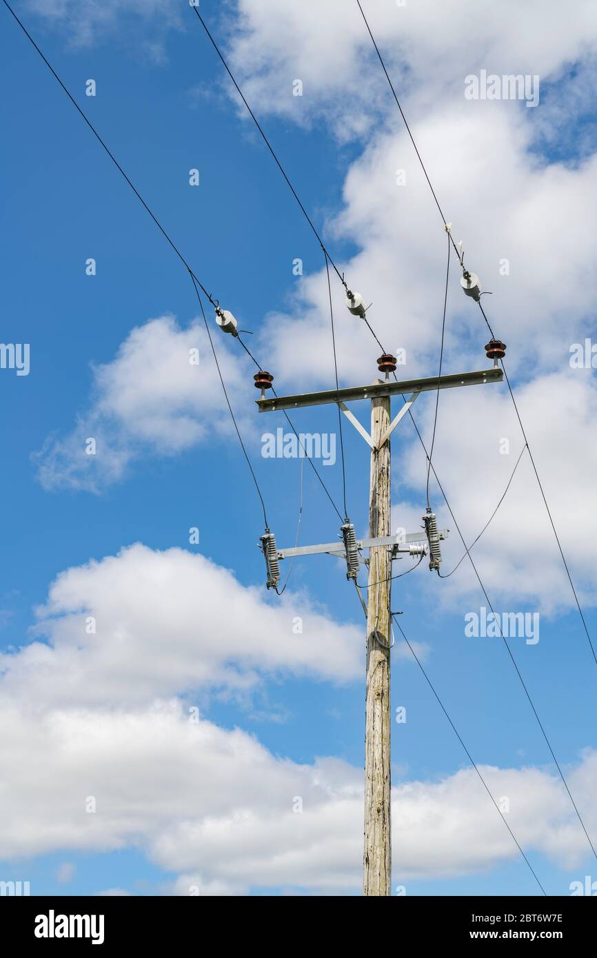 Domestic electricity distribution utility pole in rural Cornwall, with ...