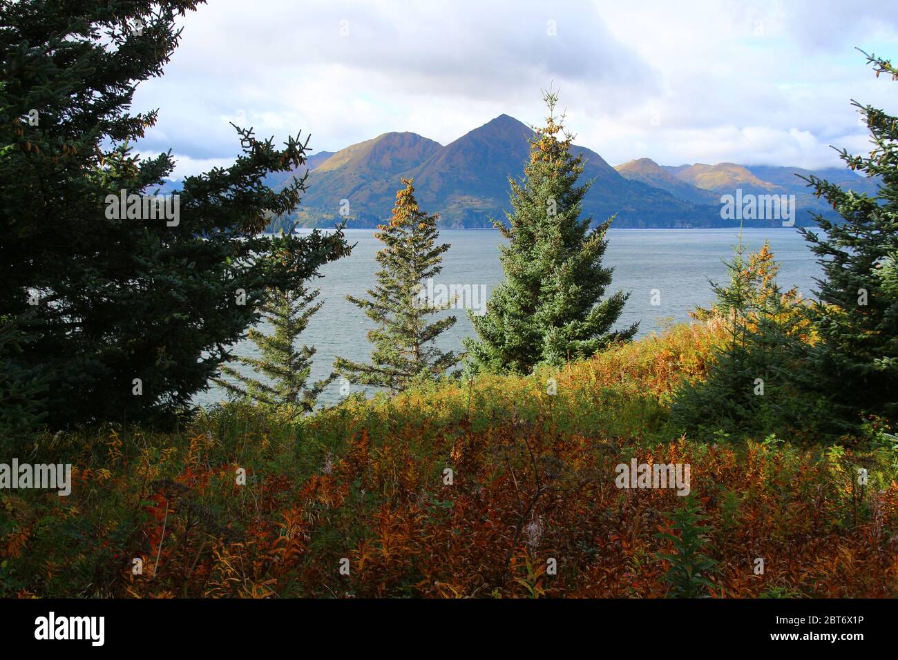 Alaska, Landscape of Kodiak Island, United States Stock Photo