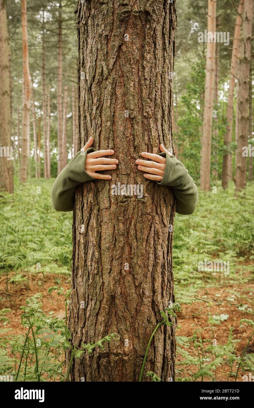 A conservationist hugging a tree in a forest with copy space Stock Photo