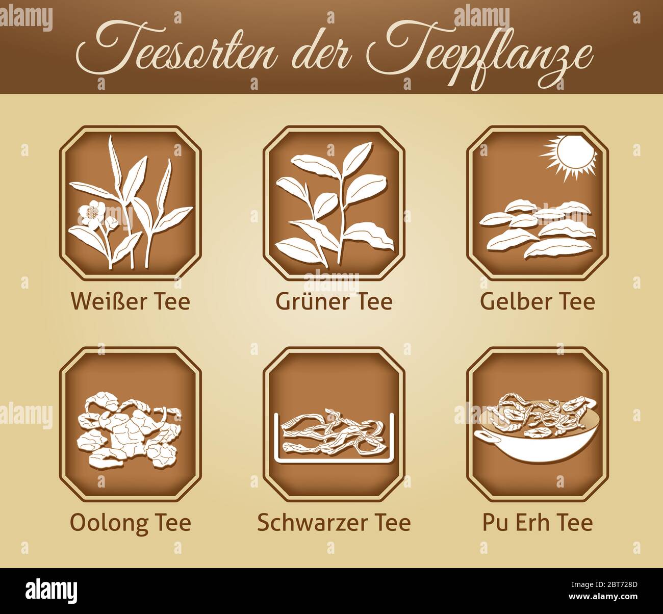 Illustration of different tea varieties as vector Stock Vector
