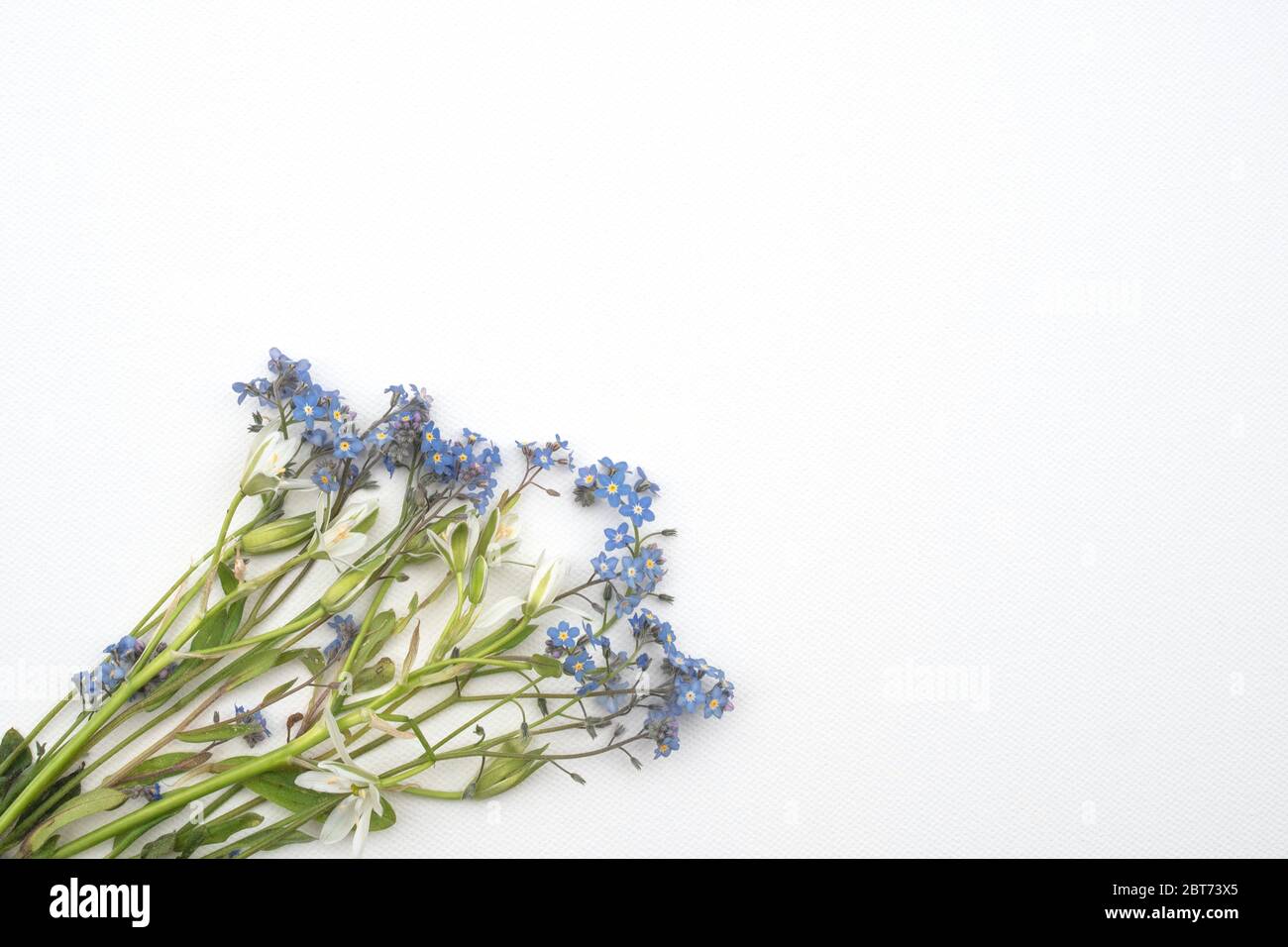 Pastel flowers hi-res stock photography and images - Alamy