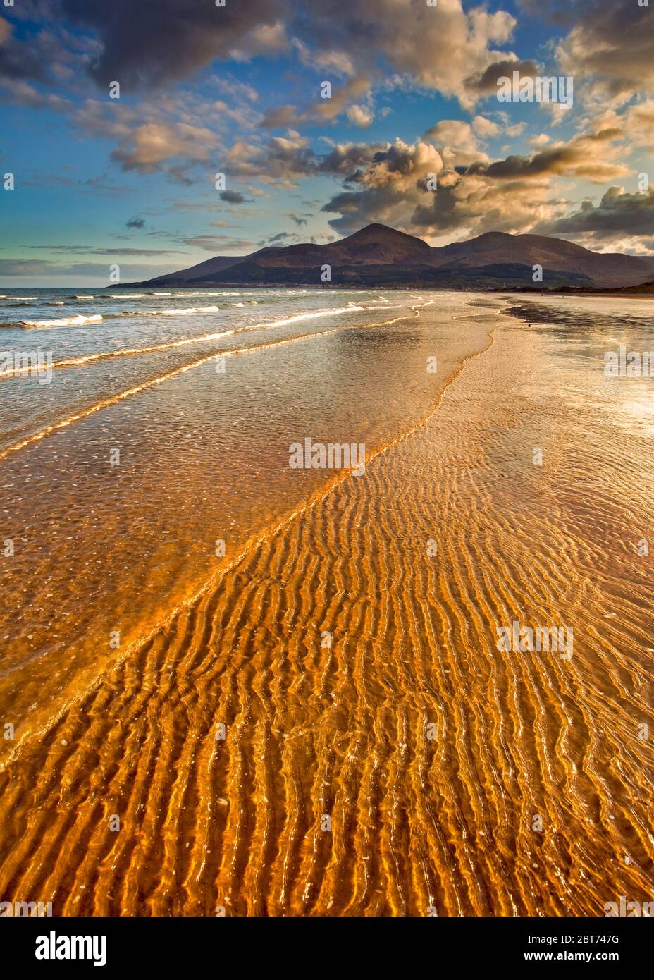 The strong setting sun creates a nice golden cast to the gentle ripples lapping up Murlough Beach on Dundrum Bay in County Down Northern Ireland. Stock Photo