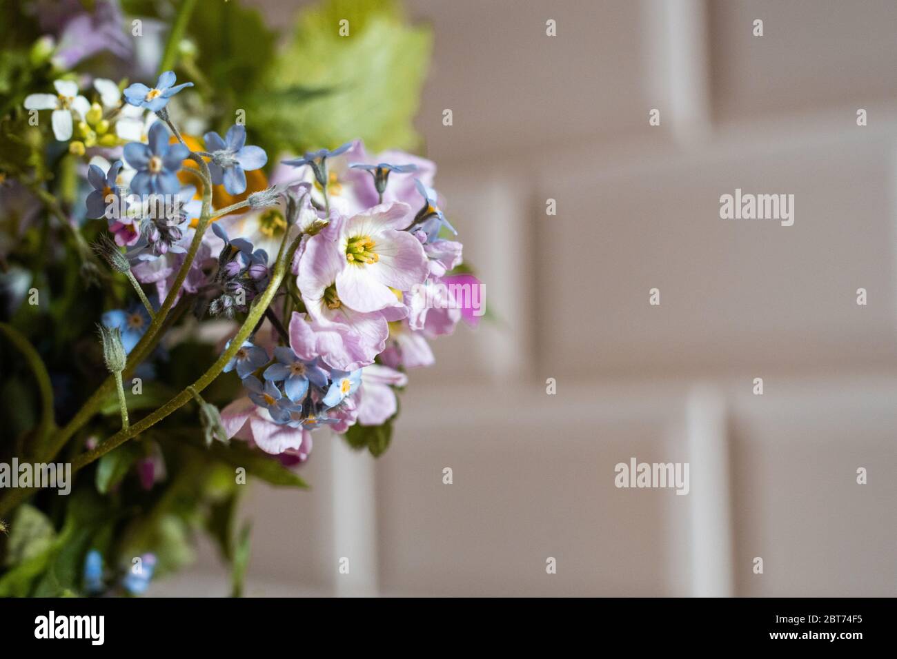 Bouquet of wildflowers Stock Photo