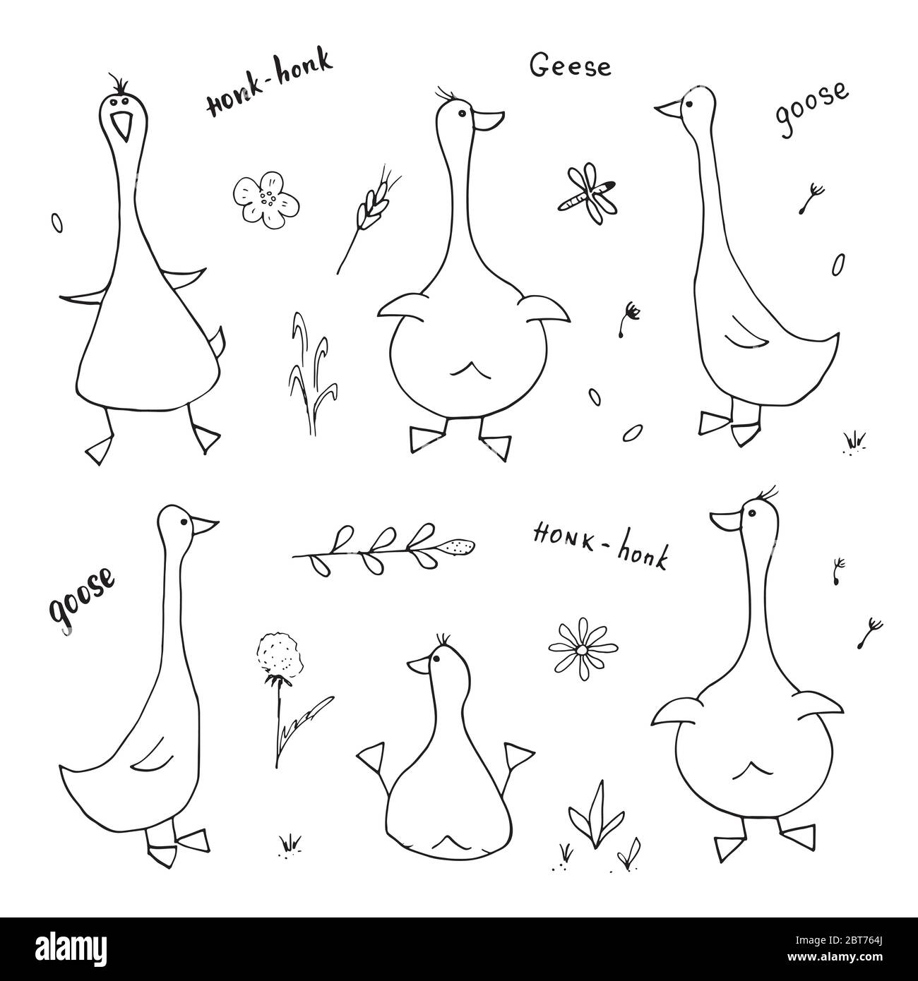 Goose doodles set cute geese sketch hand drawn Vector Image