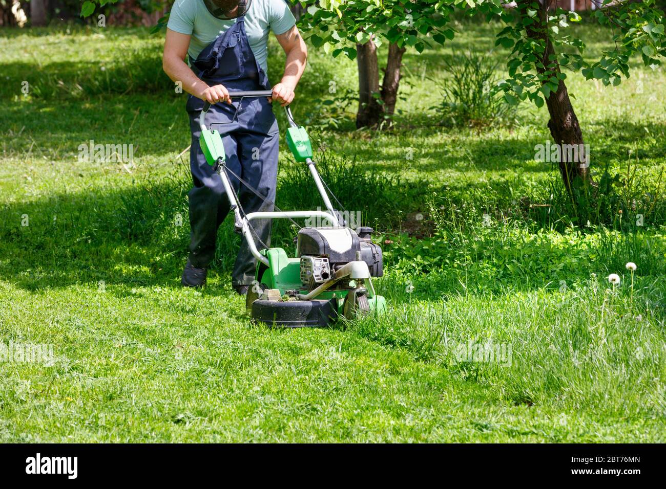 A gardener cares for a green lawn, mowing green grass with an