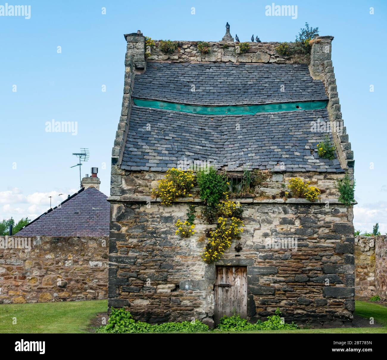 Ruined historic neglected old falling down dovecote, Preston Tower grounds, Prestonpans, East Lothian, Scotland, UK Stock Photo