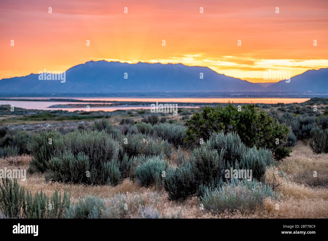 Orange red yellow sunlight sunrise on Great Salt Lake in Antelope Island State Park Ladyfinger campground with reflection on water and sun rays Stock Photo