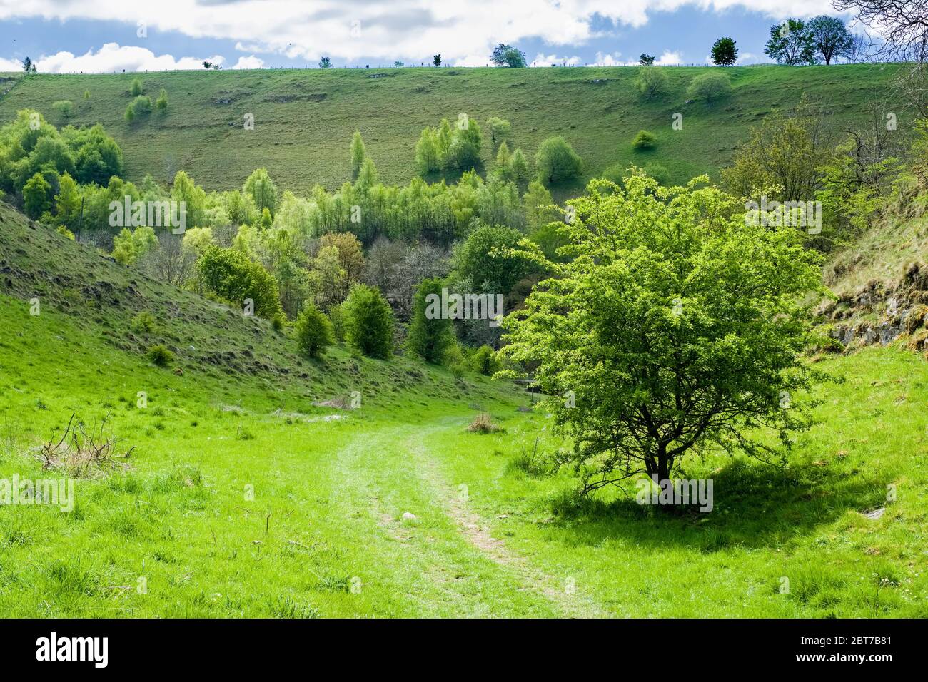 Woo Dale in the parish of Green Fairfield near Buxton, Derbyshire,UK. Peak District National Park Stock Photo