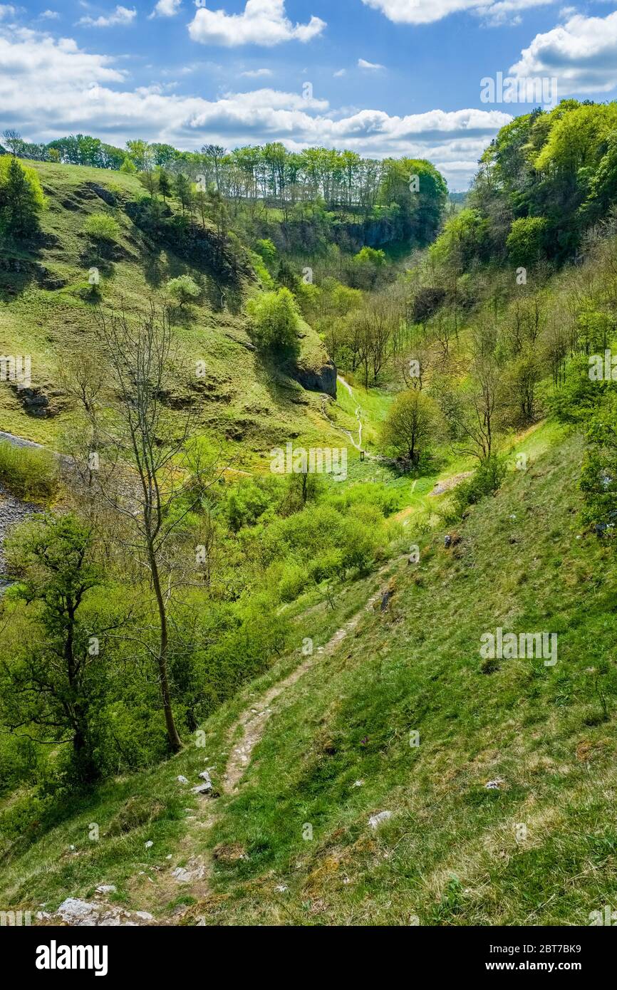 Deep Dale a limestone valley in the Peak District National Park