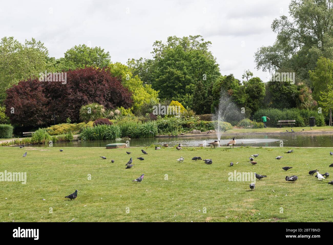 Pinner memorial park hi-res stock photography and images - Alamy