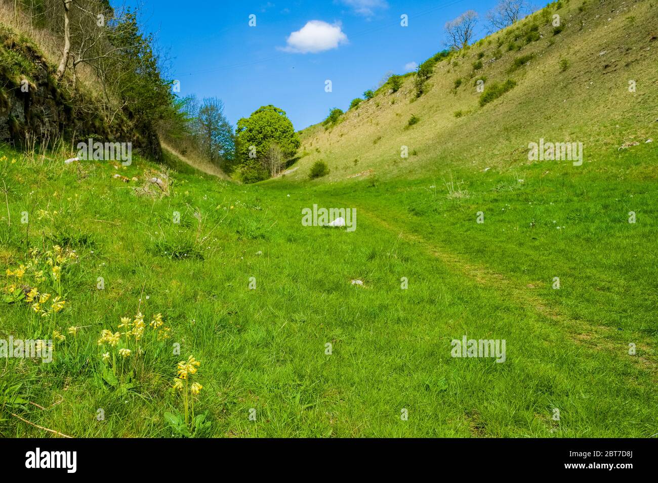Woo Dale in the parish of Green Fairfield near Buxton, Derbyshire,UK. Peak District National Park Stock Photo